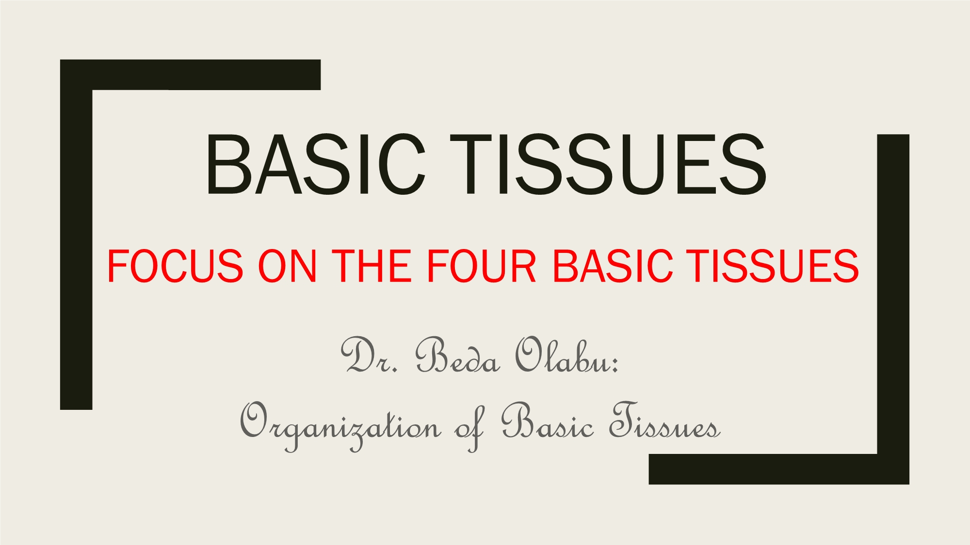 No preview available